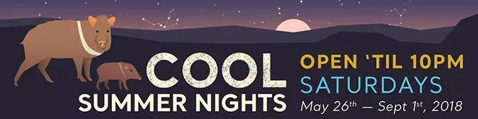 cool_summer_nights.jpg