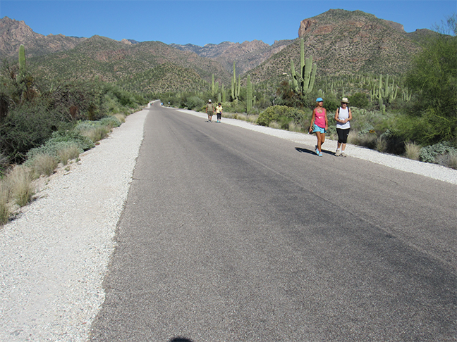 Residents and visitors have spent much of the year walking the paved road through Sabino Canyon after an appeal prevented the new operators of the tram service from implementing modernized vehicles and payment systems.