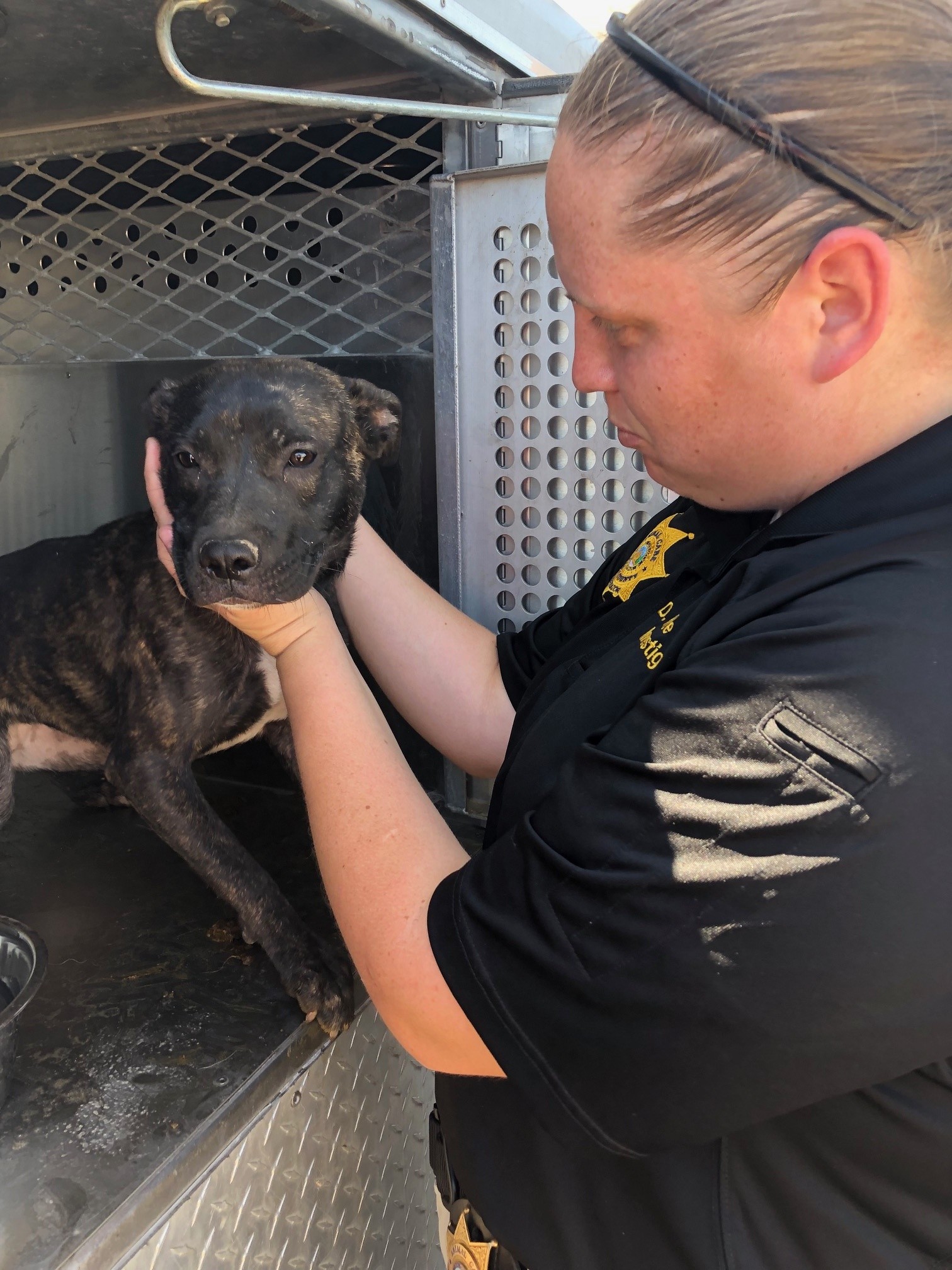 Animals Recovered from South Side Trailer The Range