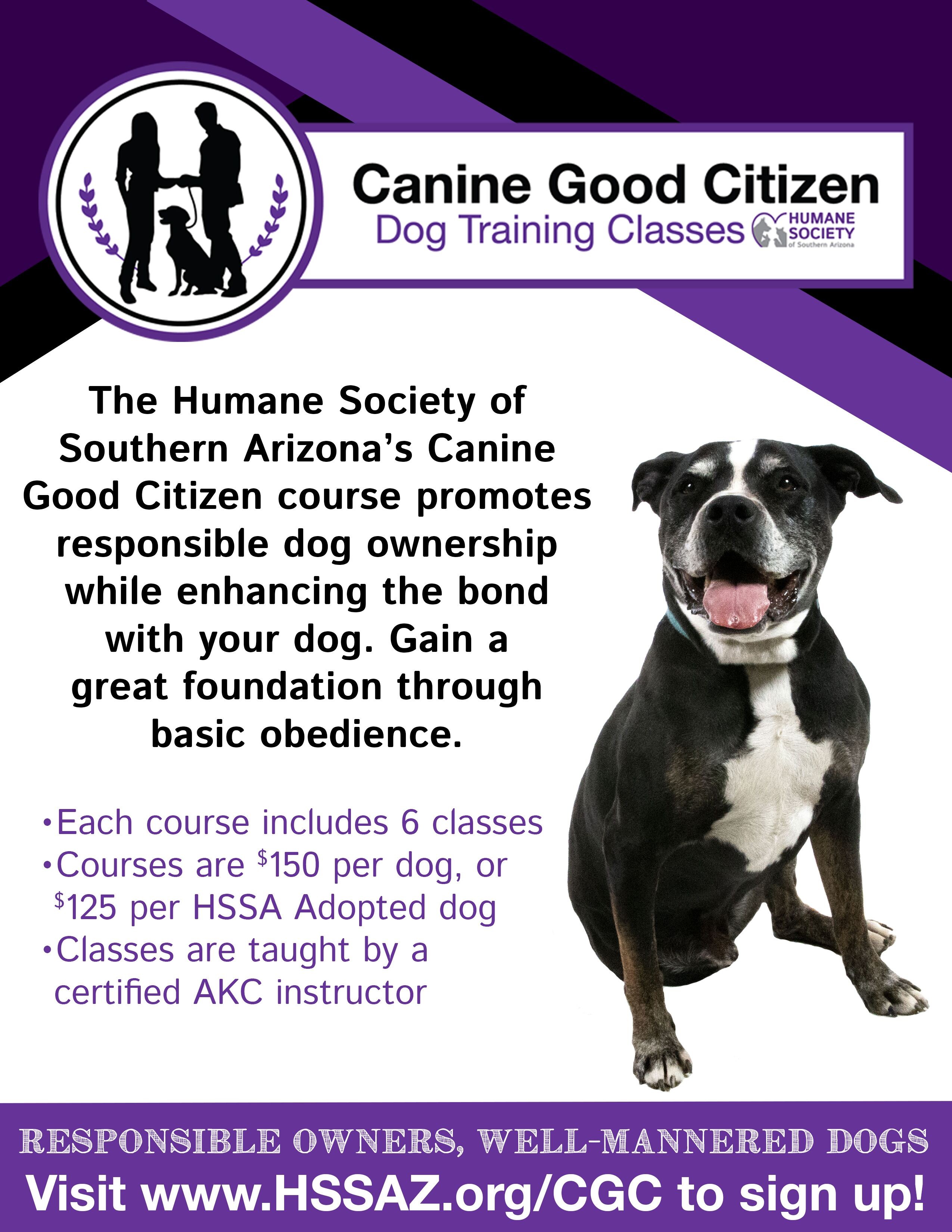 Humane Society of Southern Arizona's Canine Good Citizen Training | The  Range