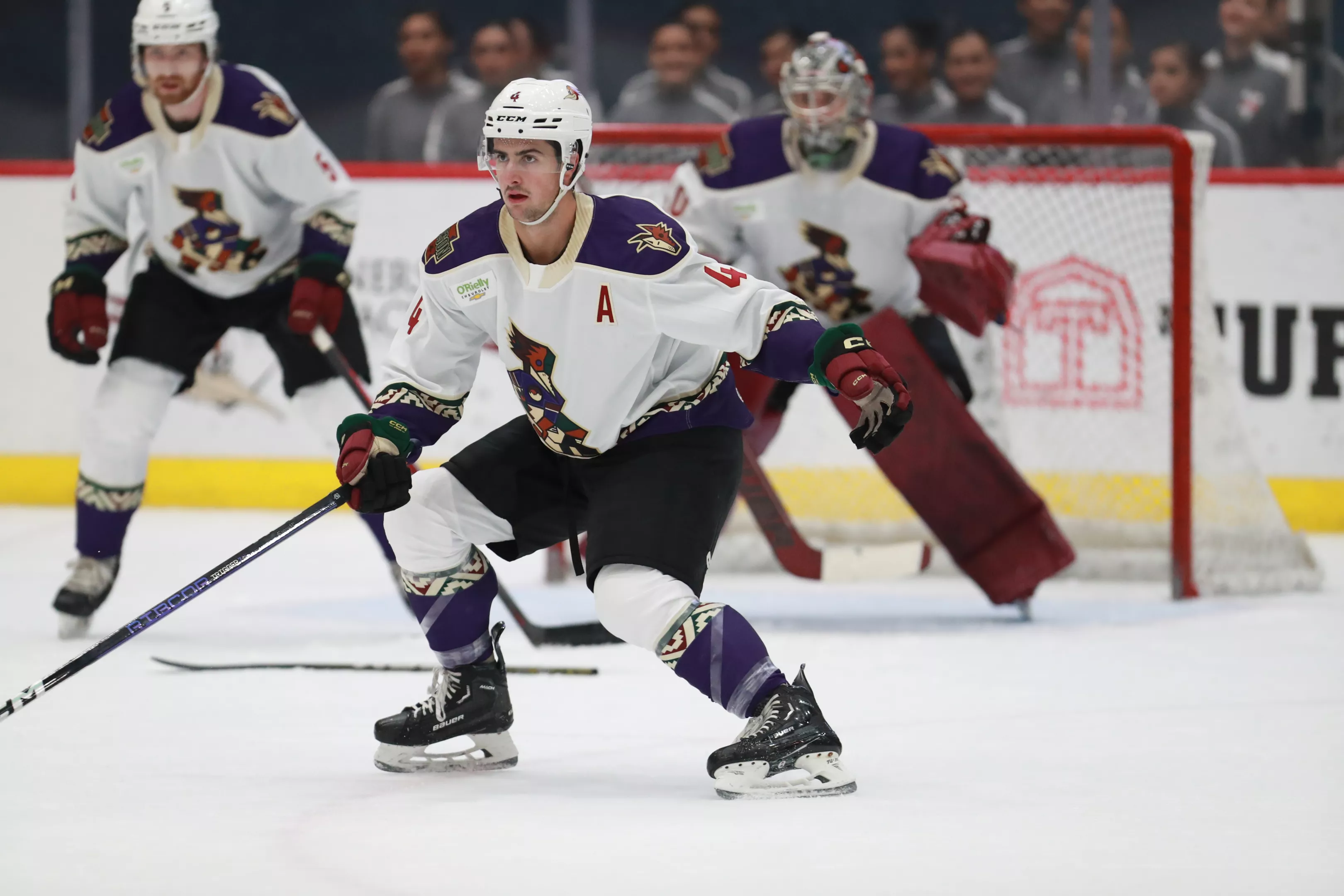 City Week Weekly Picks City Week Tucson Weekly