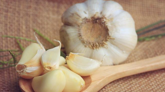 Vampires beware: The 13th annual Garlic Festival is this weekend