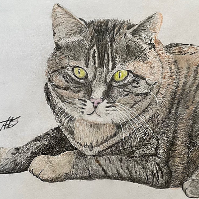 Retiree discovers his artistic side, now draws pet portraits