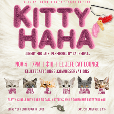 Kitty Haha - comedy for cat, performed by cat crazy comedians