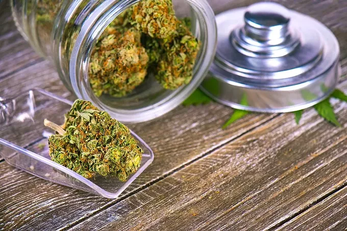 Impaired Lawmaking: DUI Bill Seeks To Undermine Intent Of Prop 207 - Vimarsana News