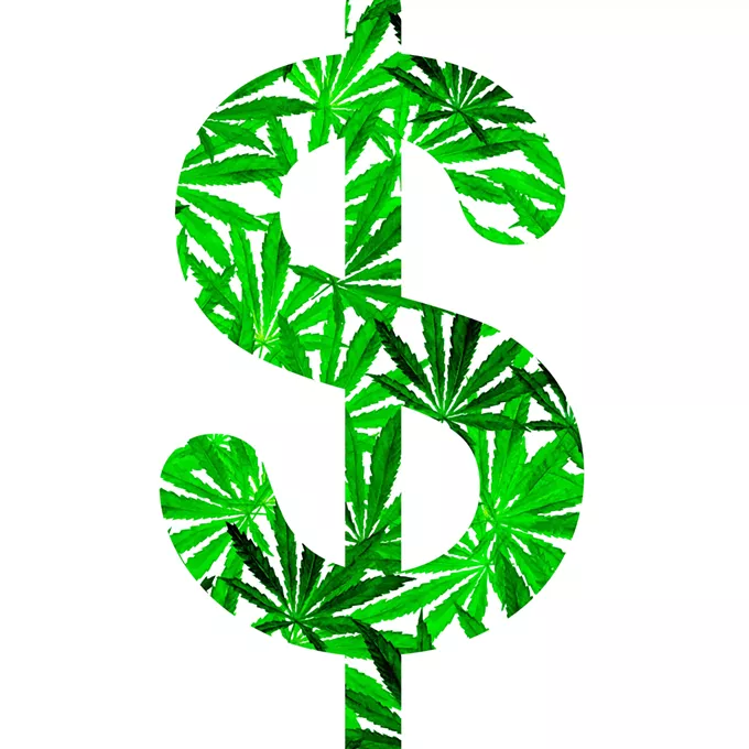 Seeing Green: Feds Continue To Fiddle as Pot Revenues Roll Like a River (of Cash) - Vimarsana News