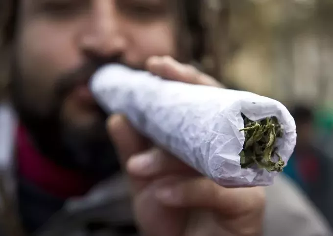 High Stakes: Legislative Session Begins With Three MJ Bills Out of the Gate - Vimarsana News