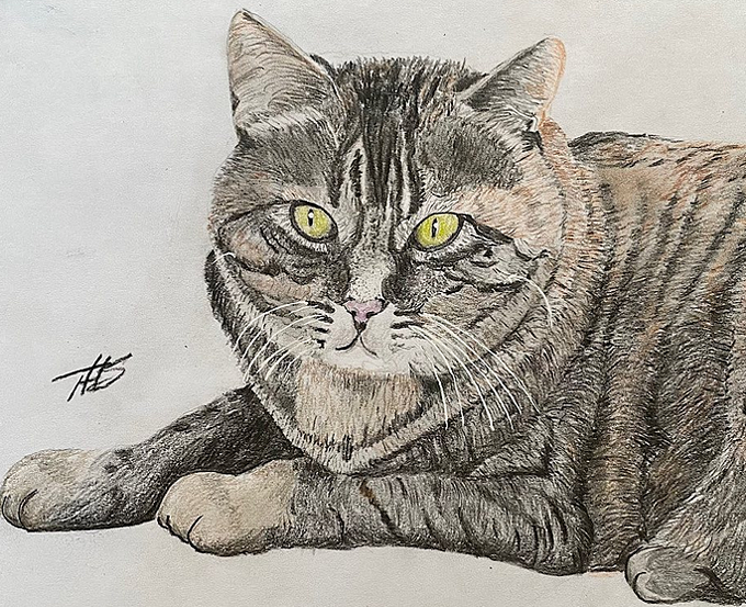 Retiree discovers his artistic side, now draws pet portraits - Vimarsana News