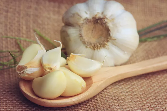 Vampires beware: The 13th annual Garlic Festival is this weekend - Vimarsana News