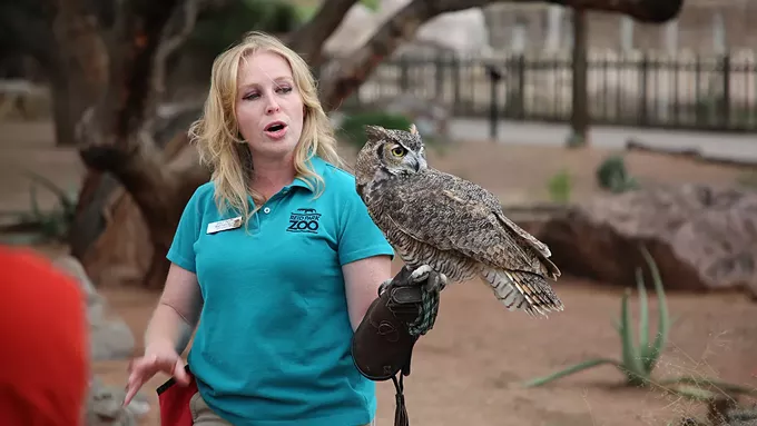 Summer Safari Nights start amid zoo construction - Vimarsana News