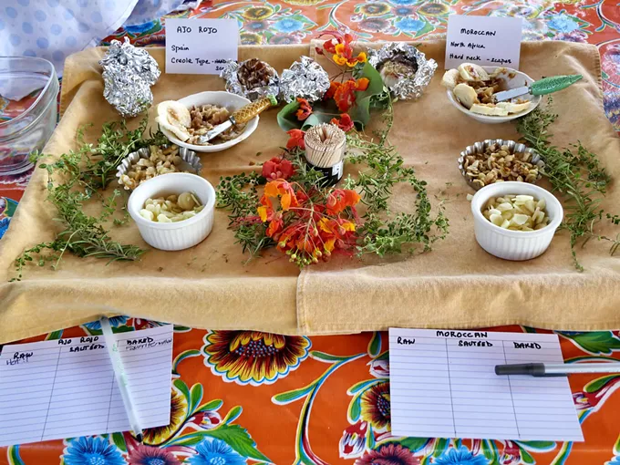 Garlic festival shares its namesake's history | Currents Feature - Vimarsana News