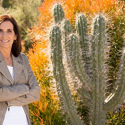 U.S. Senate: Martha McSally sets sights on economic comeback