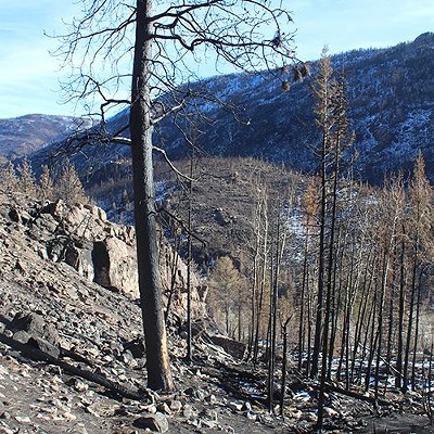 When wildfire burns a high mountain forest, what happens to the snow and runoff?
